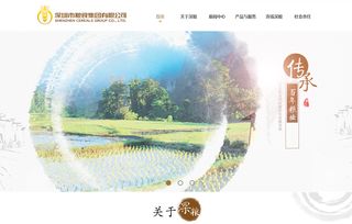 農業(yè)電商網站建設 網站定制開發(fā)的作用